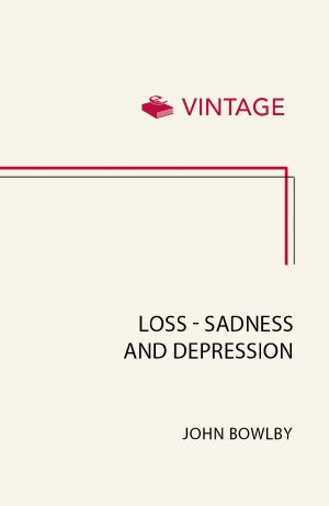 [Attachment and Loss 03] • Loss--Sadness and Depression